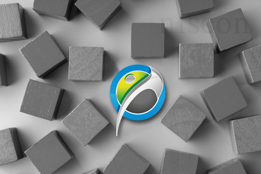 dgps survey companies in Chennai